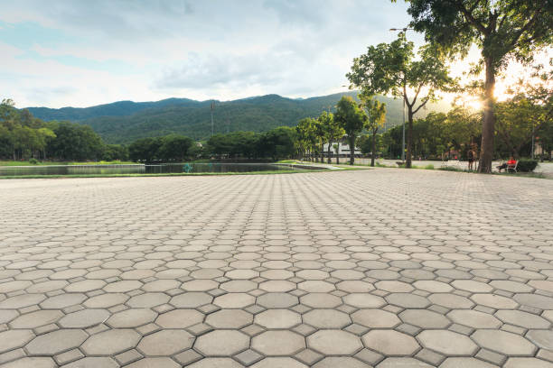 Best Driveway Pavers Near Me  in Cambridge, WI